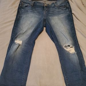Torrid jeans